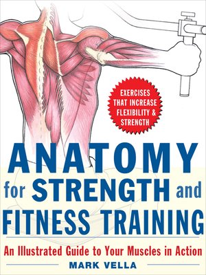 cover image of Anatomy for Strength and Fitness Training